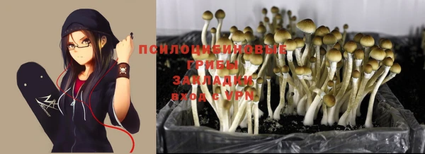a pvp Беломорск