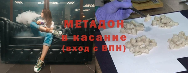 шишки Белокуриха