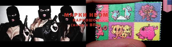 шишки Белокуриха