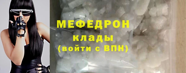 шишки Белокуриха