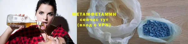 шишки Белокуриха