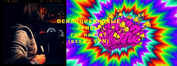 шишки Белокуриха