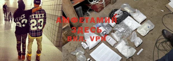 шишки Белокуриха