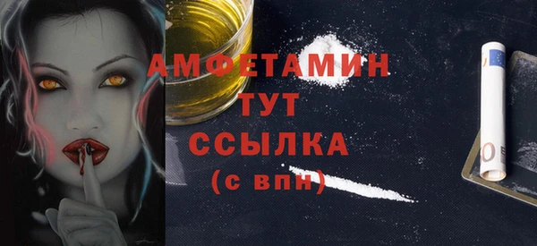 шишки Белокуриха