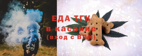 шишки Белокуриха