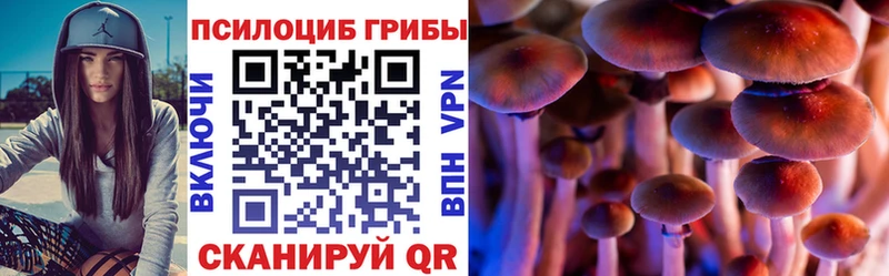 закладки  darknet Telegram  Галлюциногенные грибы мицелий  Покровск 